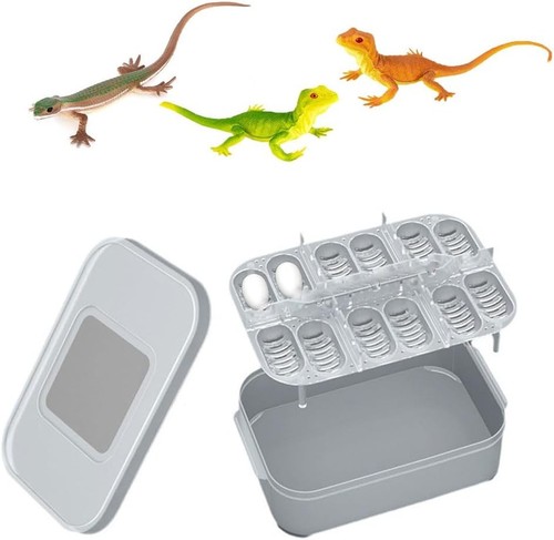 Reptilien-Eier-Inkubator