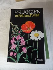 Pflanzen in Feld und Wald -