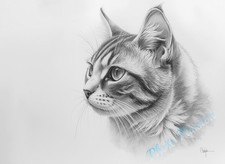 A4 Poster Kunstdruck Katze