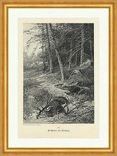 Im Treiben A. Henke Hirsche