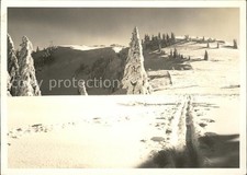 Tanzboden SG Skigebiet 