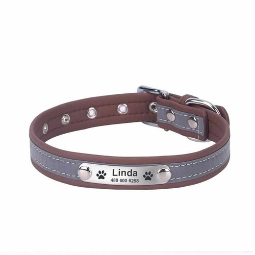 Hundehalsband namen - hundehalsband,