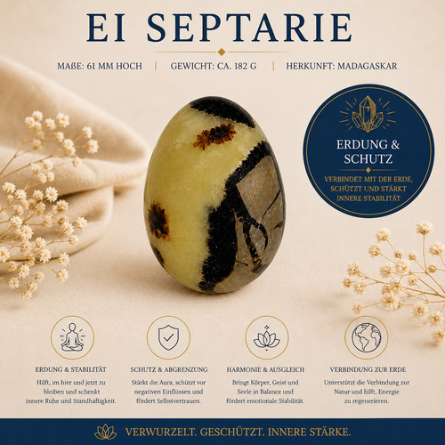 Septarien 182g madagaskar - septarien,