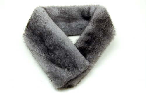 Nordamerikanischer blauer iris - nordamerikanischer,