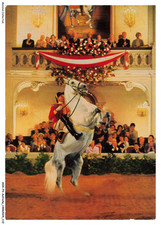 AOXP3-0208-AUTRICHE - Wien -