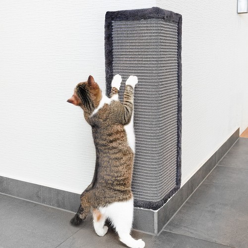 Katzen kratzbrett für wand - für,