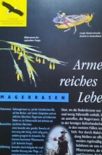 Poster. Format A 2. Magerrasen. Biotope in  Baden-Württemberg.