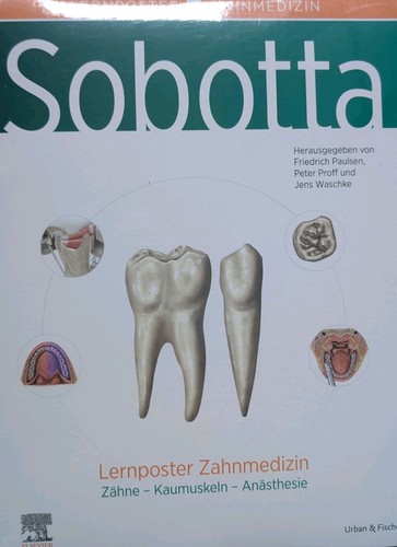 Sobotta lernposter zahnmedizin - sobotta,