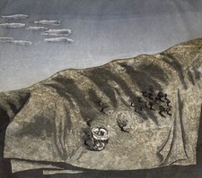 Eberhard Schlotter: Felder zum