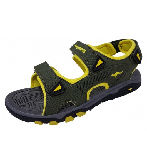 Kangaroos celtic barbo - kangaroos,