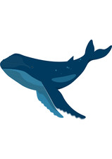 5x car sticker whale sticker