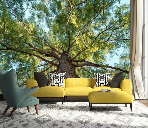 Groß baum m7372 tapete - 3d,