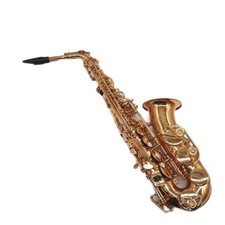 Eastar Schüler-Altsaxophon Es