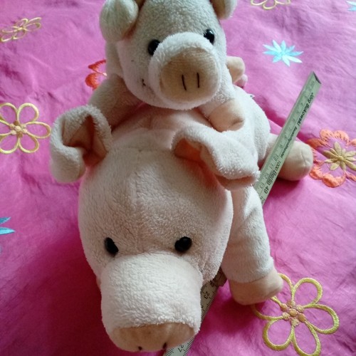 Schwein schweinchen - ,