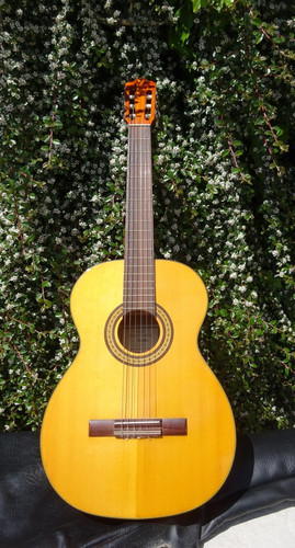 Gitarre höfner 101 - 101, cm