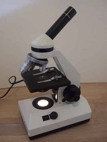 Eschenbach kolleg 45 - kolleg, sh