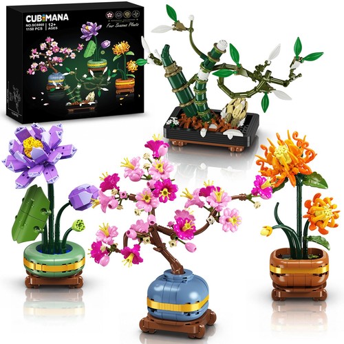 Bonsai set japanische - set,