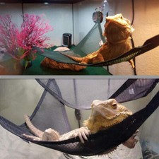 2pcs Terrarium Hängematte mit