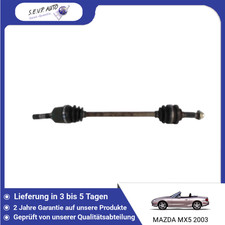 🇩🇪 LINKE HINTERE