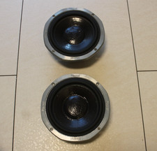 Ein Paar 20er Magnat