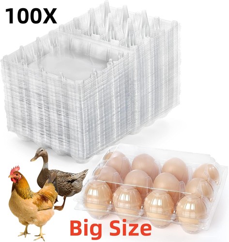 Packung mit 100 eierschachteln - mit,