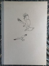 Raubvögel im Fluge Fritz Bäuerle 2. Auflage 1951 Neumann Verlag Radebeul Berlin