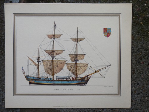 Hms bounty hans muth schuler - hms,