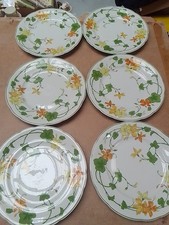 Villeroy Boch Geranium Speiseteller Preis Pro Stück Guter Zustand