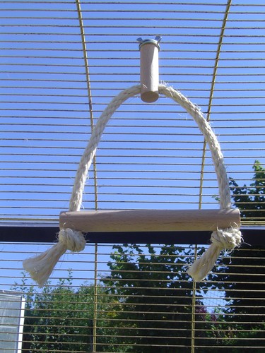 Pipano vogelschaukel ø - vogelschaukel, 17