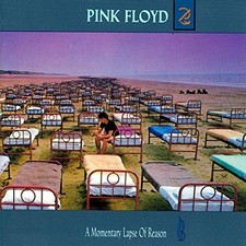 Pink Floyd - A Momentary Lapse