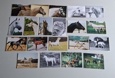 20 AK Pferdepostkarten