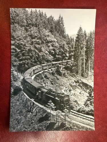 Harzquerbahn - (1364),