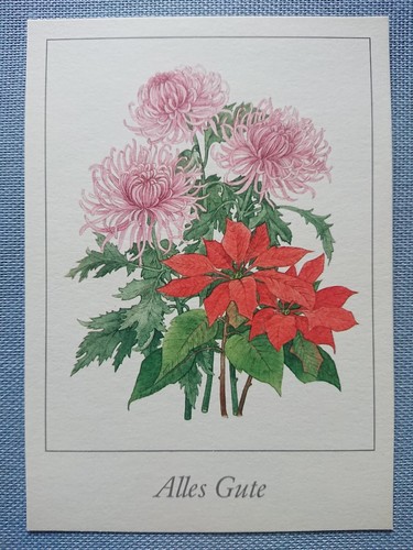Alte ansichtskarte postkarte - alte,