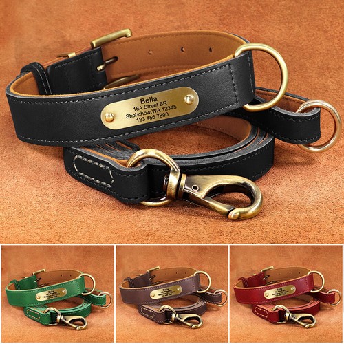 Personalisiert hundehalsband - personalisiert,