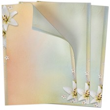 Blatt briefpapier mit - 50,