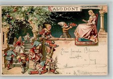 13716078 - Wien Kalodont