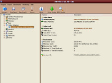 Grafikkarte XFX GeFORCE 6200