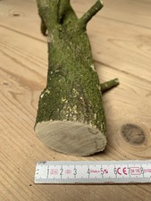 Drechselholz Buchsbaum Buxus