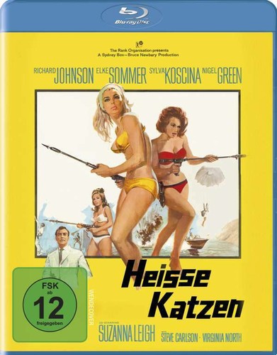 Heisse katzen elke - elke, sommer