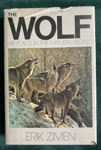 The wolf his - place,