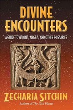 Divine Encounters: A Guide to Visions, Angels, and Other Buch Bear & Company