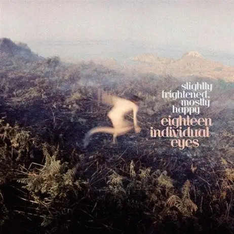 Eighteen individual eyes - cd,