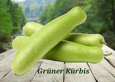 Orientalisch Bio Grüner