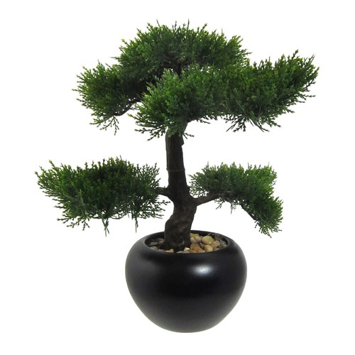 Kunstpflanze bonsai zeder - kunstpflanze,