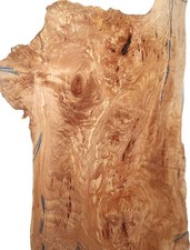 Wurzelholz Buche Maserholz der Schwarzbuche 58x29cm x 80mm