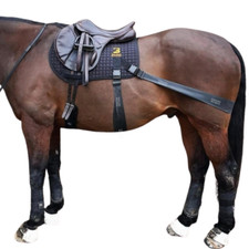 Equine band system pro - system,