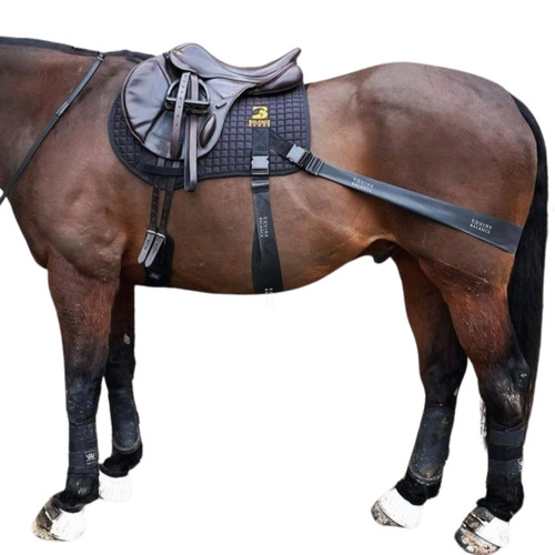 Equine band system pro - equine,