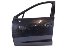 RENAULT SCENIC III Tur vorne