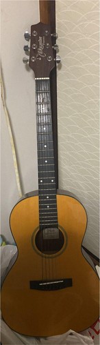 Akustikgitarre takamine - akustikgitarre,