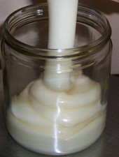 2,5 kg Rapshonig vom Deutschen